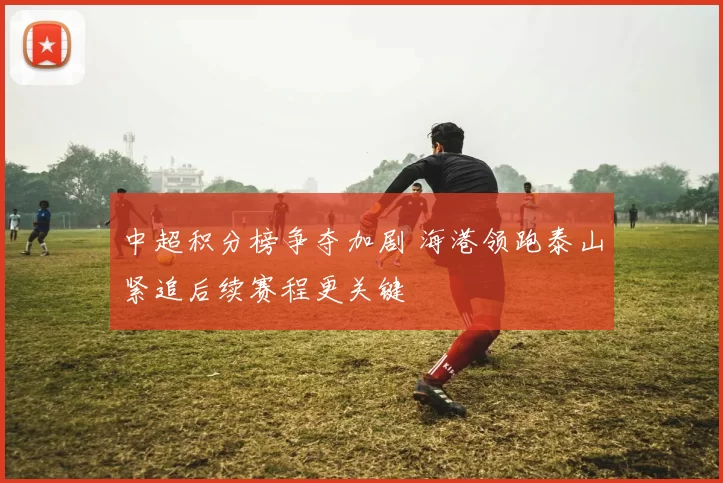 中超积分榜争夺加剧 海港领跑泰山紧追后续赛程更关键
